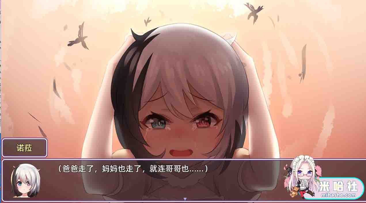 光与影的二重身 中文界面 演示图 3